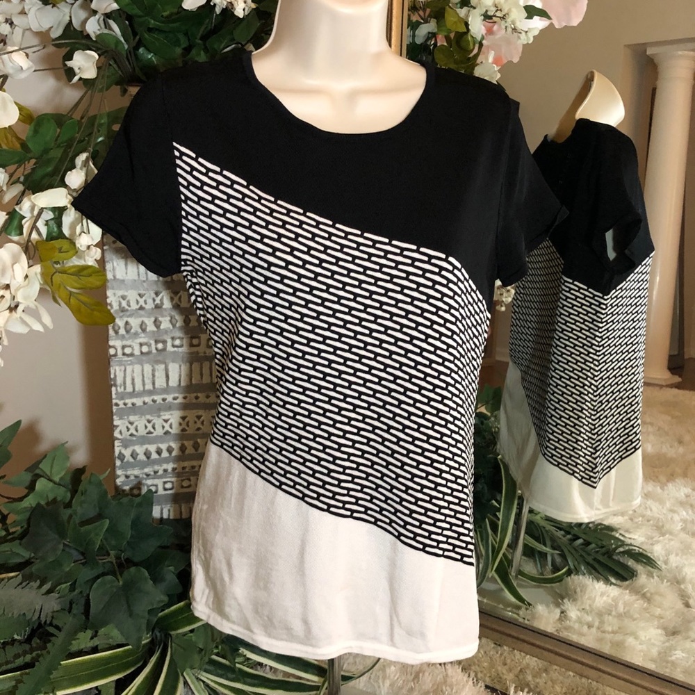 Whbm Short Sleeve Diagonal Stripe Block Sweater - image 1